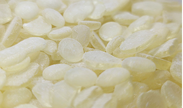 Gum rosin