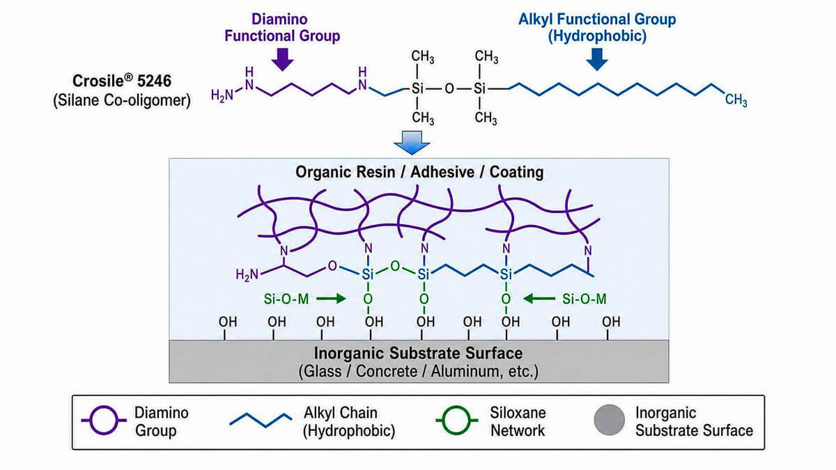 Molecular mechanism infographic for Crosile 5246 silane co-oligomer.
