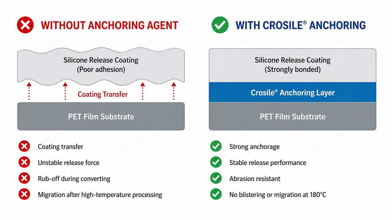 infographic-anchoring-problem-silicone-release-coating Diagram showing silicone release coating adhesion failure vs. proper anchoring on PET substrate