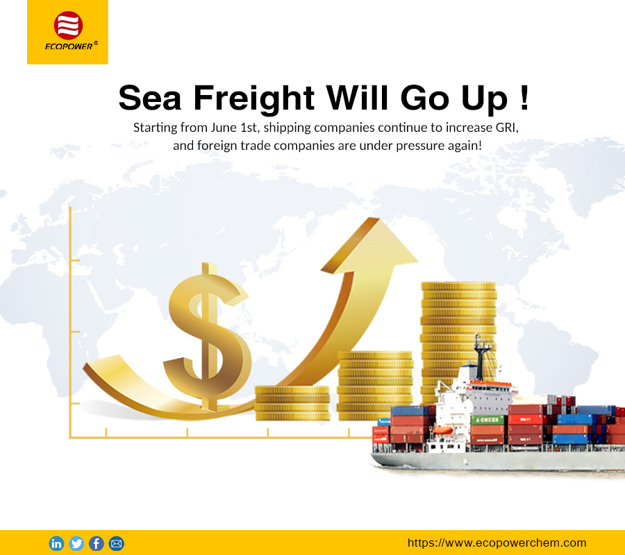 Sea Freight Will Go Up!
