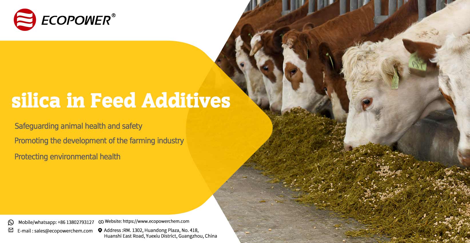 Silica in Feed Additives