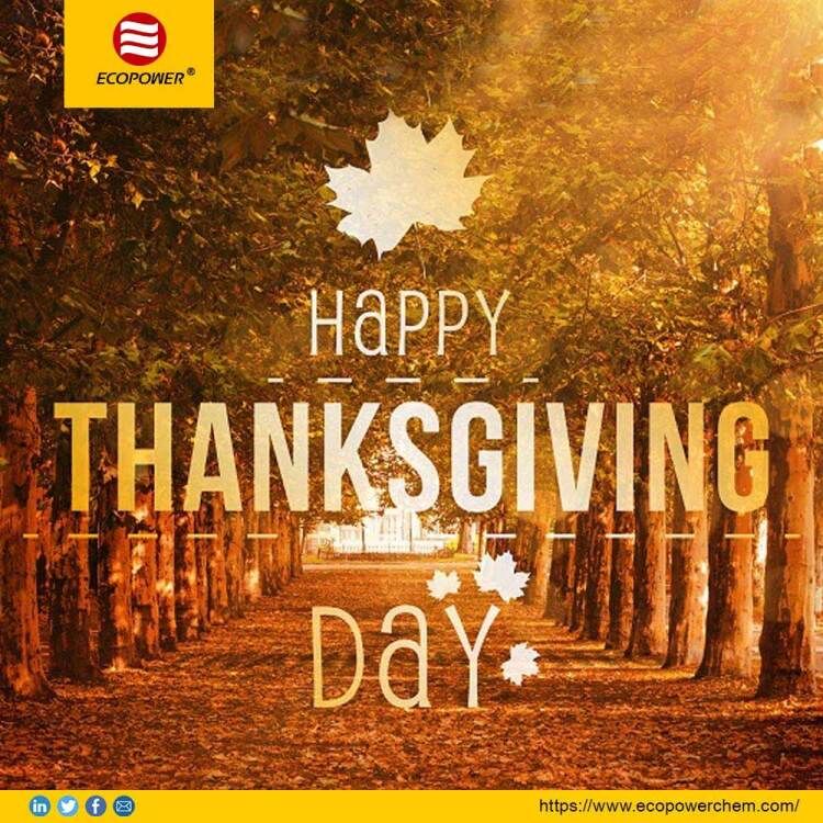 Thanksgiving Day in ECOPOWER